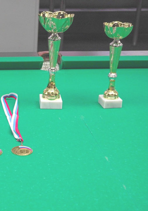 Обучение бильярдному спорту взрослых в ДНР